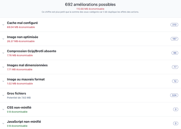 Copie d’écran des améliorations possibles : Cache mal configuré : 69.04Mb, Image non optimisé 26,37 Mb